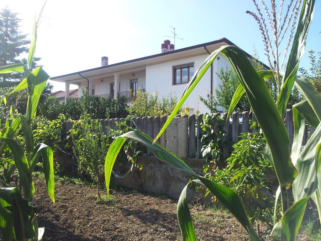 B&B La Casa Di Angelica Roseto Degli Abruzzi Exterior foto